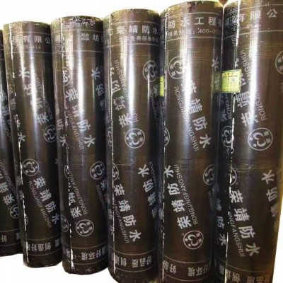 Popular New Producing Sbs/app Underground Waterproof Membrane