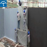 High Quality Pre-applied Hdpe Damp Proof Membrane Liners